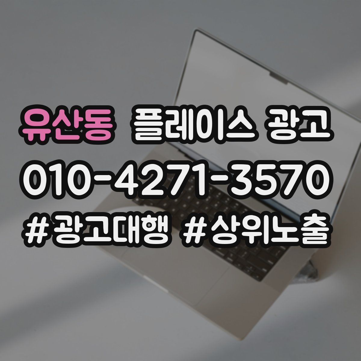 유산동 플레이스 광고
