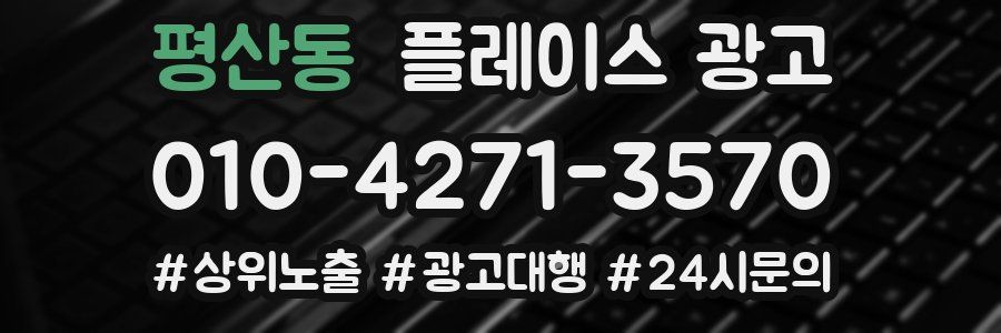 평산동 플레이스 광고