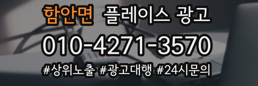 함안면 플레이스 광고