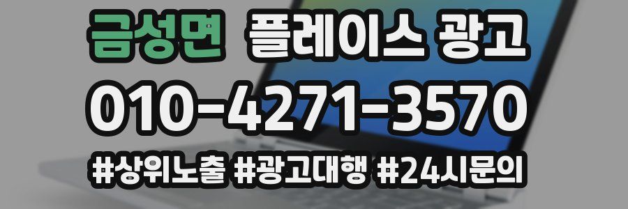 금성면 플레이스 광고