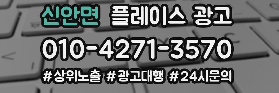 신안면 플레이스 광고