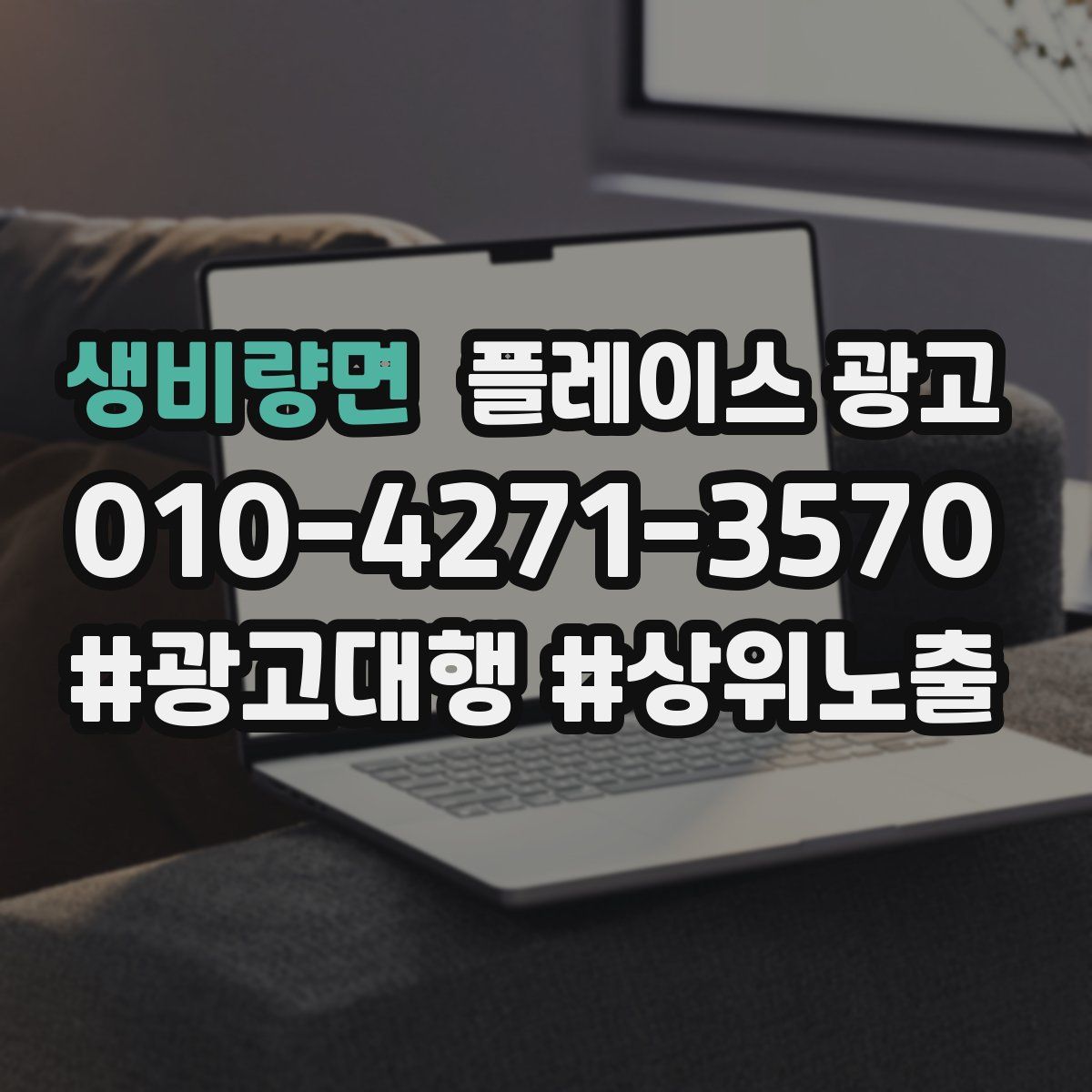 생비량면 플레이스 광고