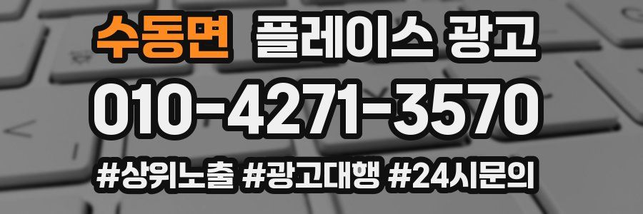 수동면 플레이스 광고