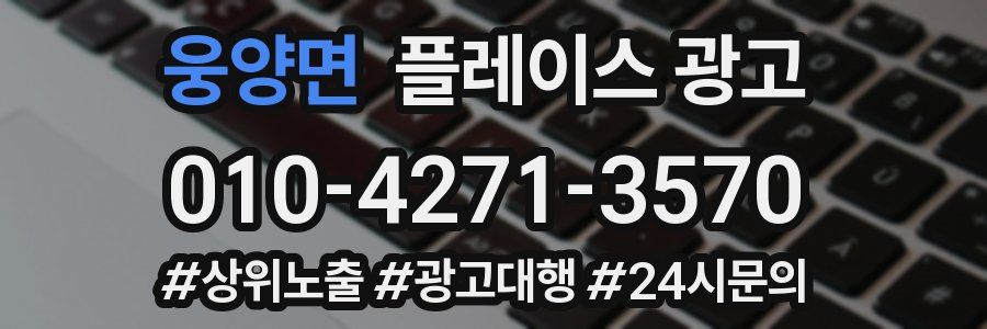 웅양면 플레이스 광고