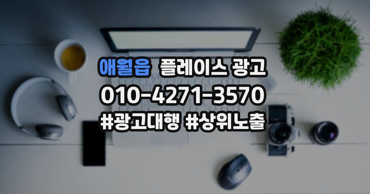 애월읍 플레이스 광고