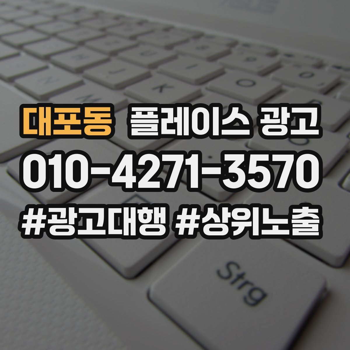 대포동 플레이스 광고