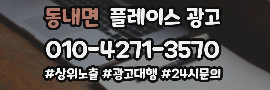 동내면 플레이스 광고