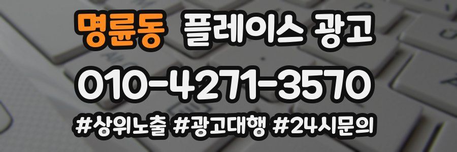 명륜동 플레이스 광고