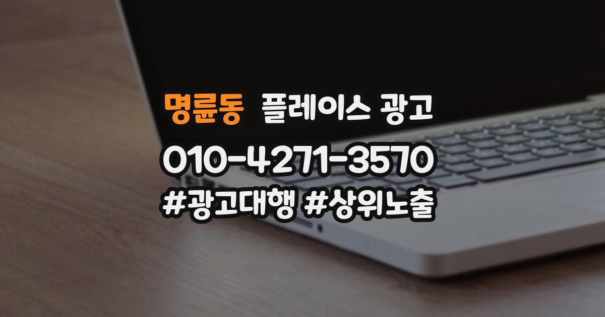 명륜동 플레이스 광고