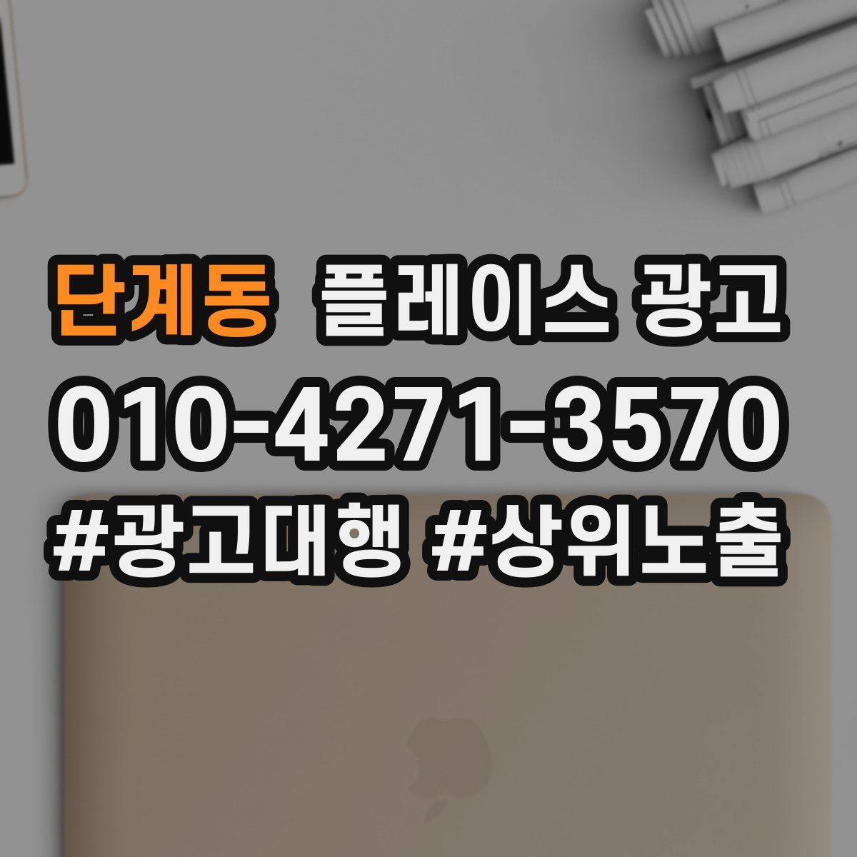 단계동 플레이스 광고