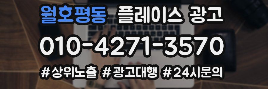 월호평동 플레이스 광고