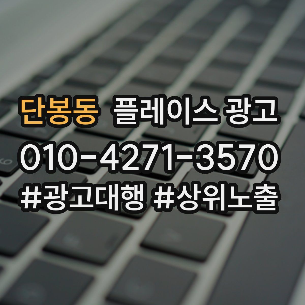 단봉동 플레이스 광고