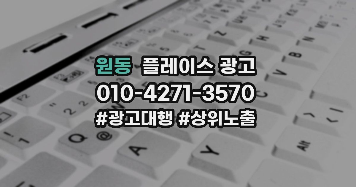 원동 플레이스 광고