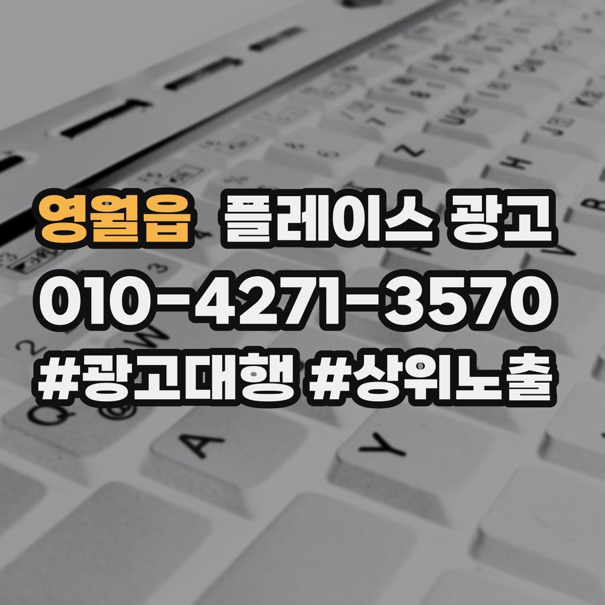 영월읍 플레이스 광고