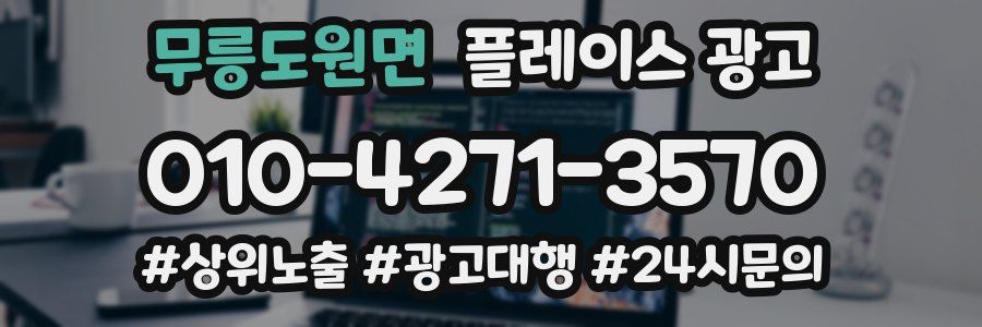 무릉도원면 플레이스 광고
