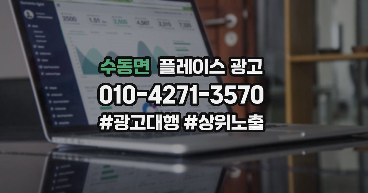 수동면 플레이스 광고
