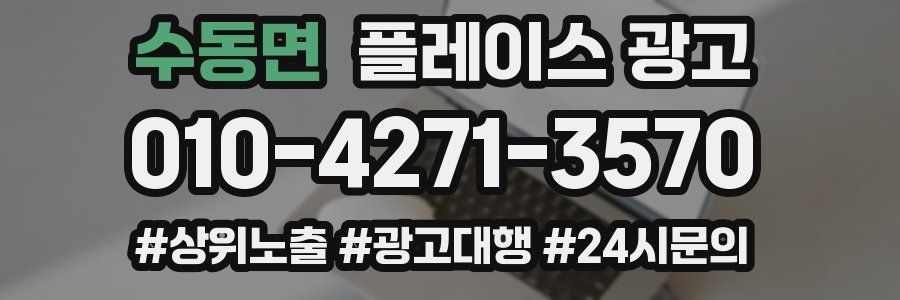 수동면 플레이스 광고