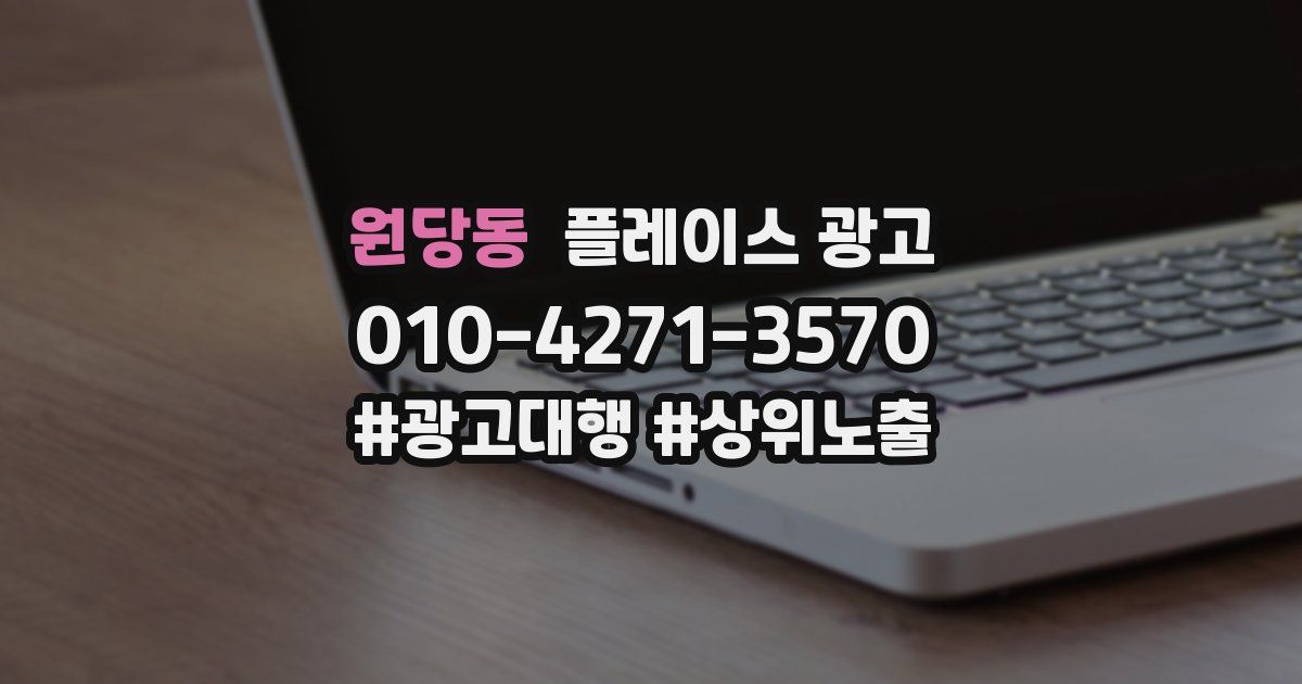 원당동 플레이스 광고