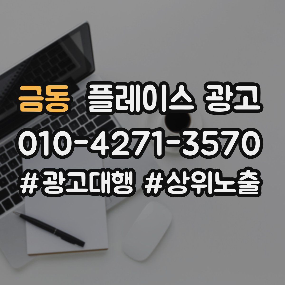 금동 플레이스 광고