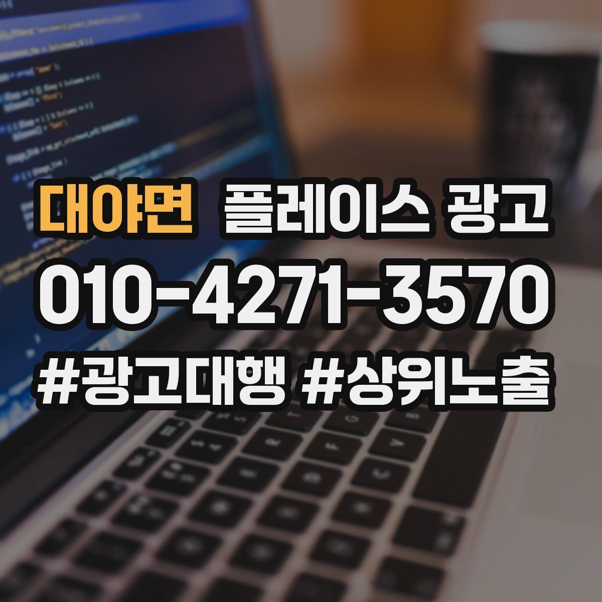 대야면 플레이스 광고