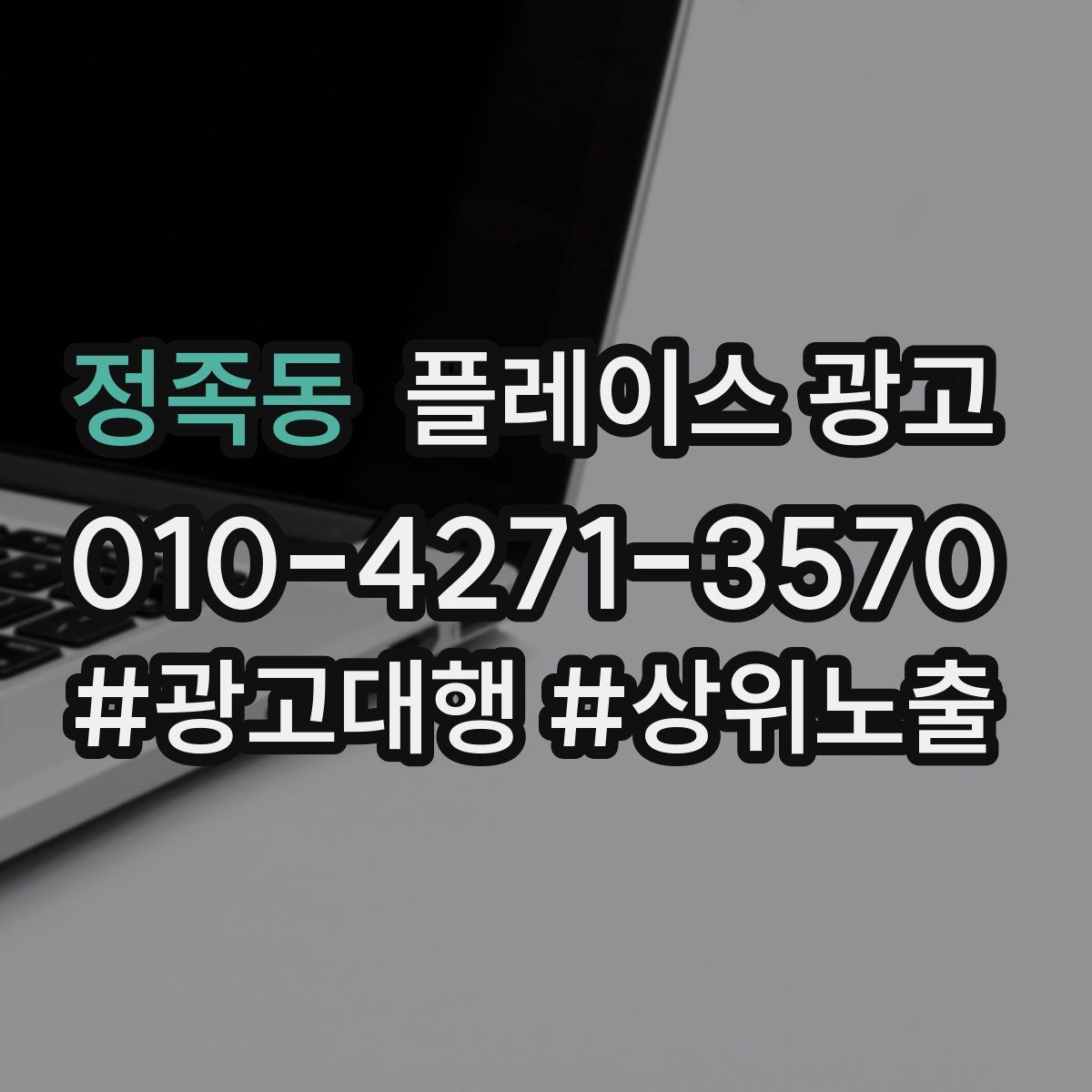 정족동 플레이스 광고