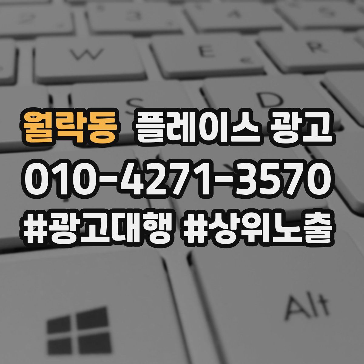 월락동 플레이스 광고