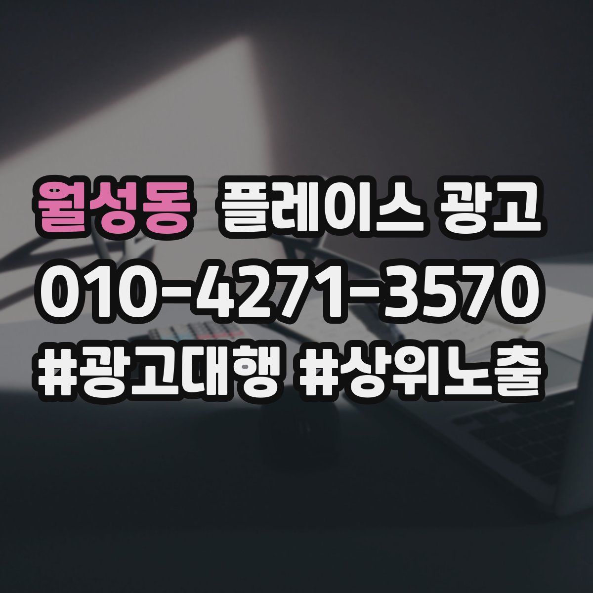 월성동 플레이스 광고