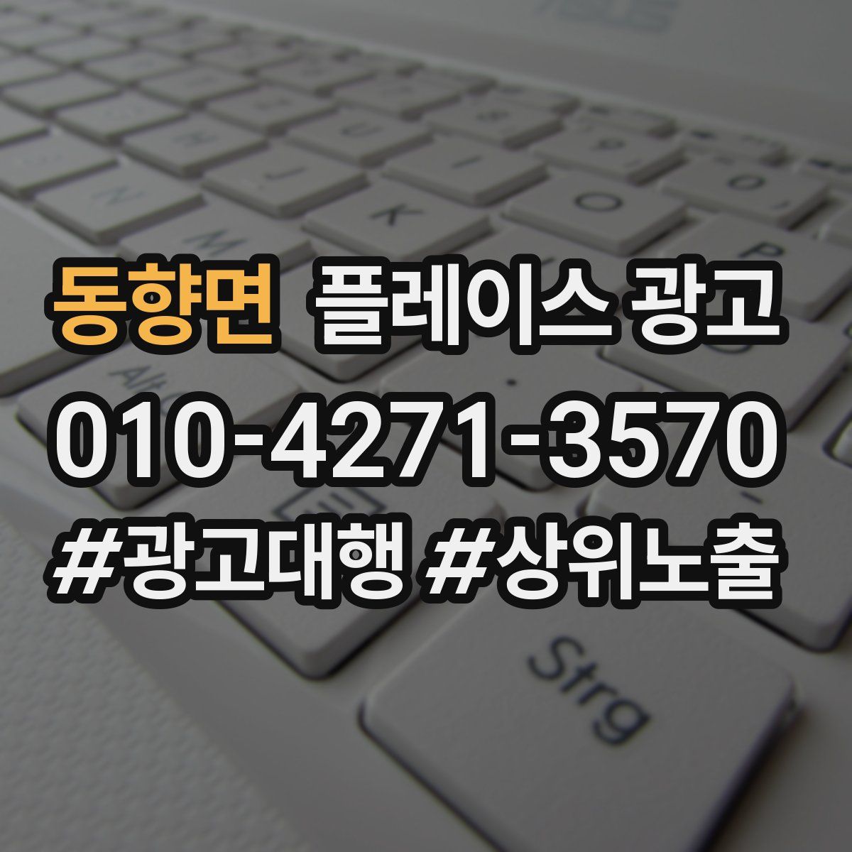 동향면 플레이스 광고