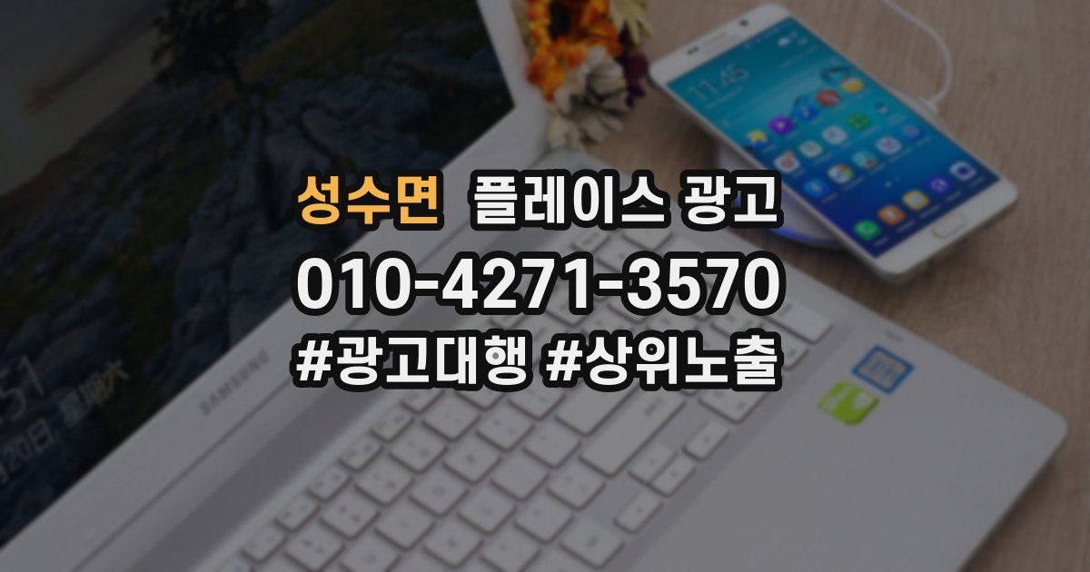 성수면 플레이스 광고