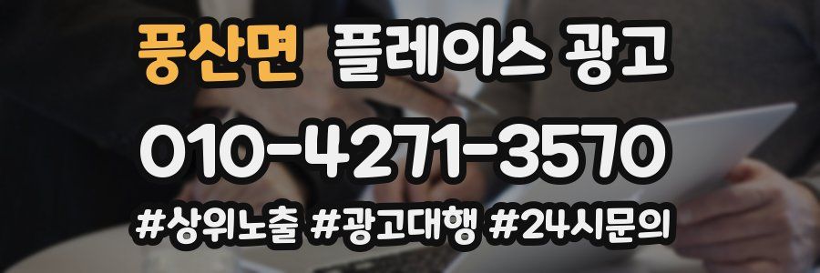 풍산면 플레이스 광고