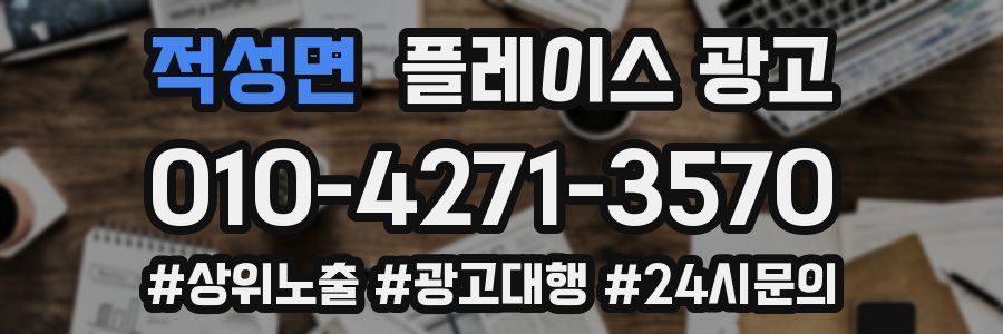 적성면 플레이스 광고