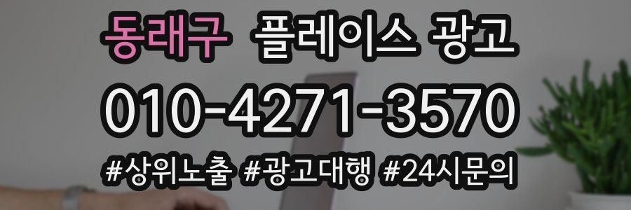 동래구 플레이스 광고