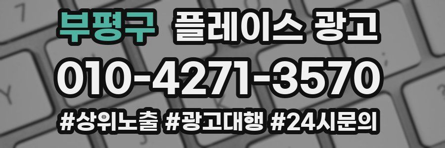 부평구 플레이스 광고