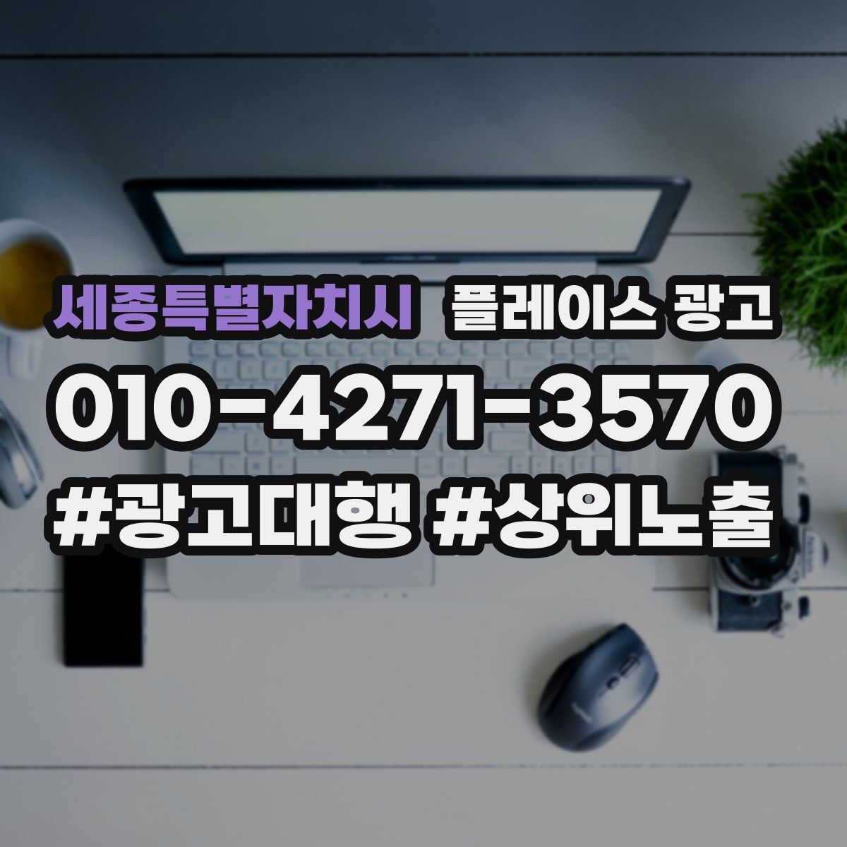 세종특별자치시 플레이스 광고