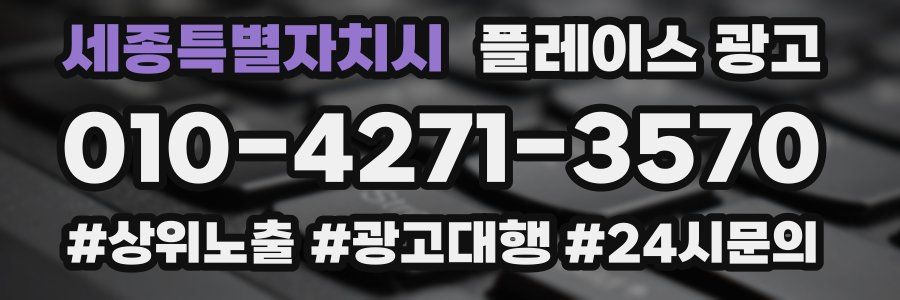 세종특별자치시 플레이스 광고