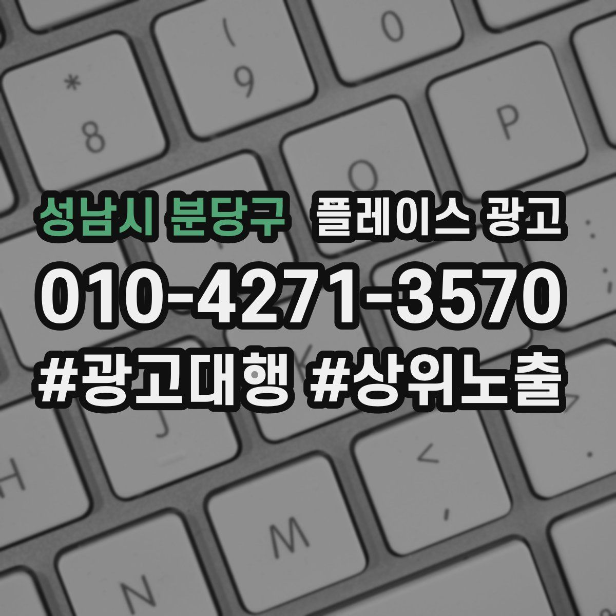 성남시 분당구 플레이스 광고