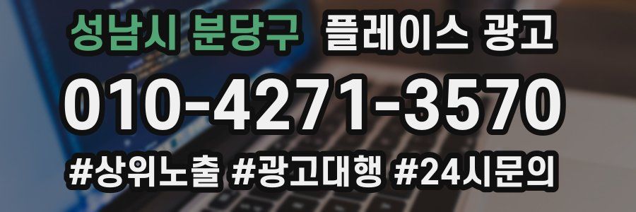 성남시 분당구 플레이스 광고