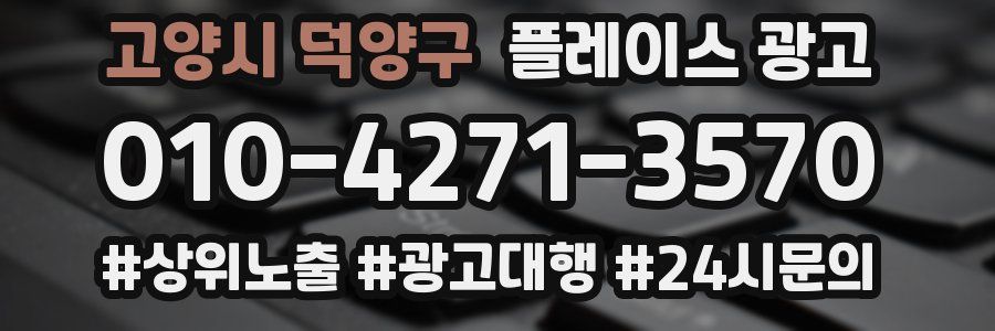 고양시 덕양구 플레이스 광고