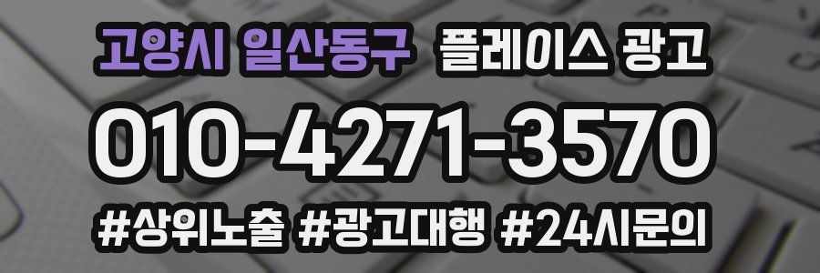 고양시 일산동구 플레이스 광고