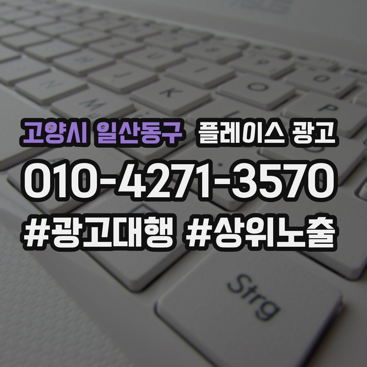 고양시 일산동구 플레이스 광고