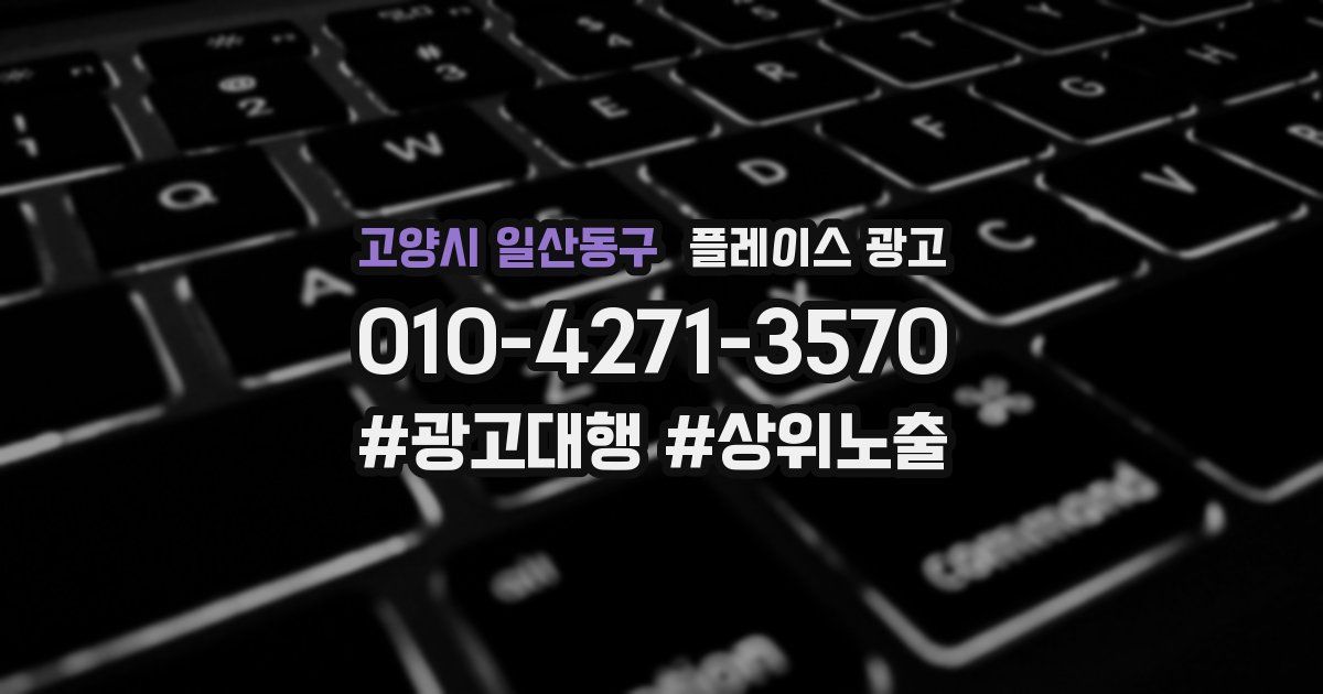 고양시 일산동구 플레이스 광고
