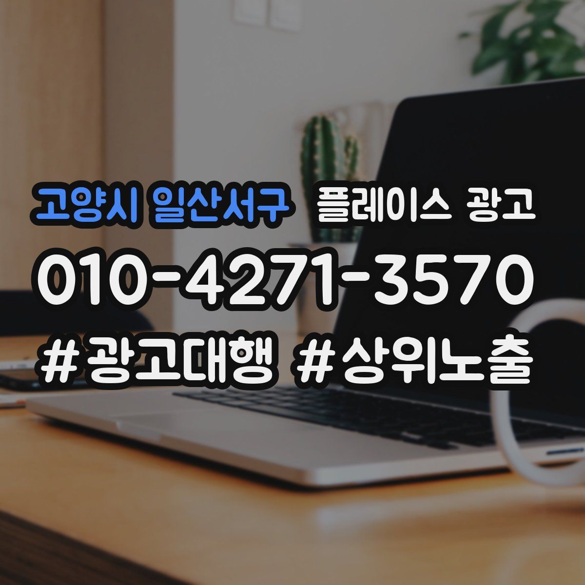 고양시 일산서구 플레이스 광고