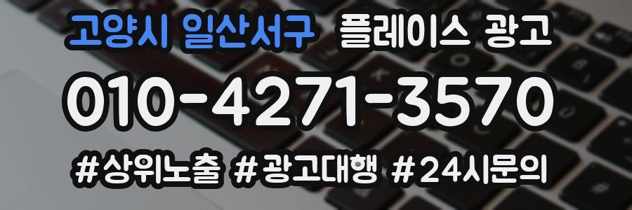 고양시 일산서구 플레이스 광고