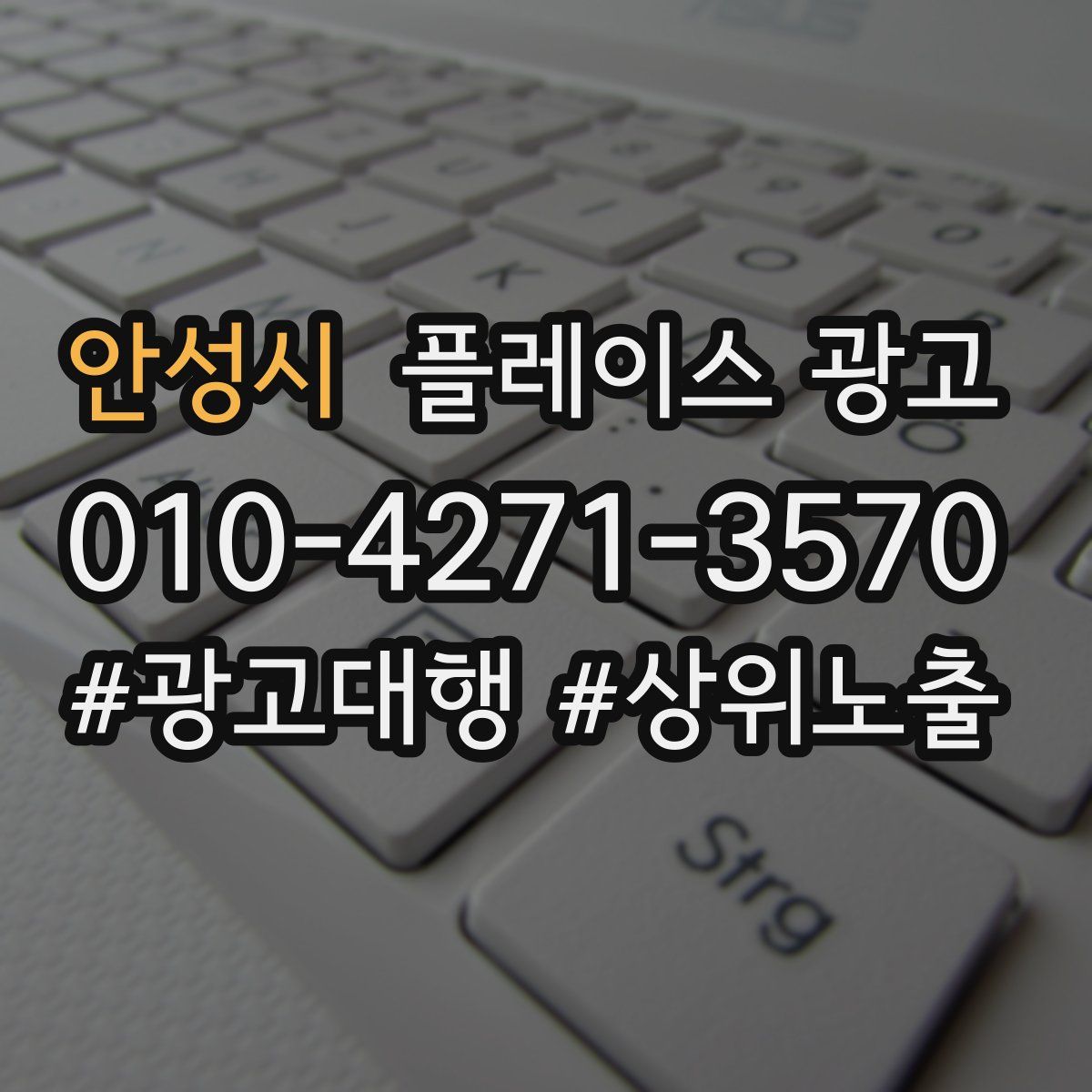 안성시 플레이스 광고