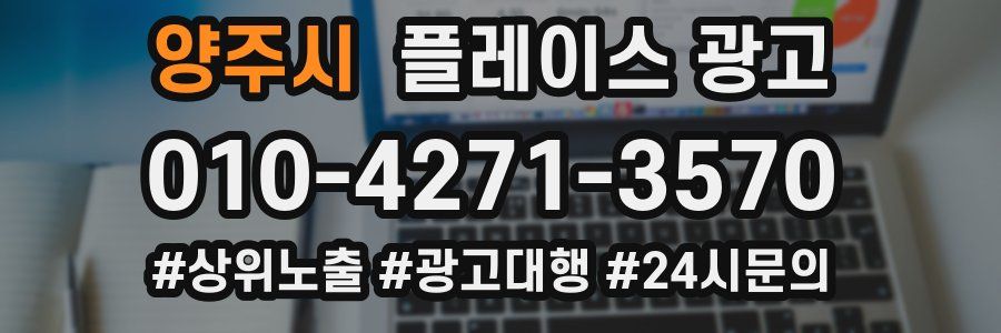 양주시 플레이스 광고