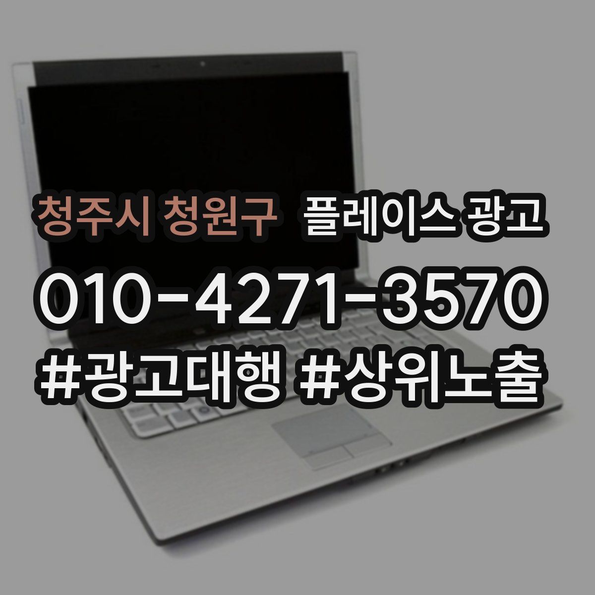 청주시 청원구 플레이스 광고