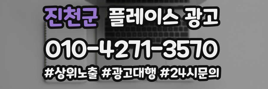 진천군 플레이스 광고