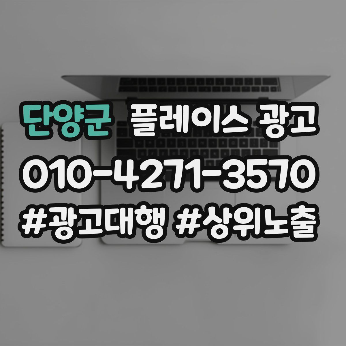 단양군 플레이스 광고