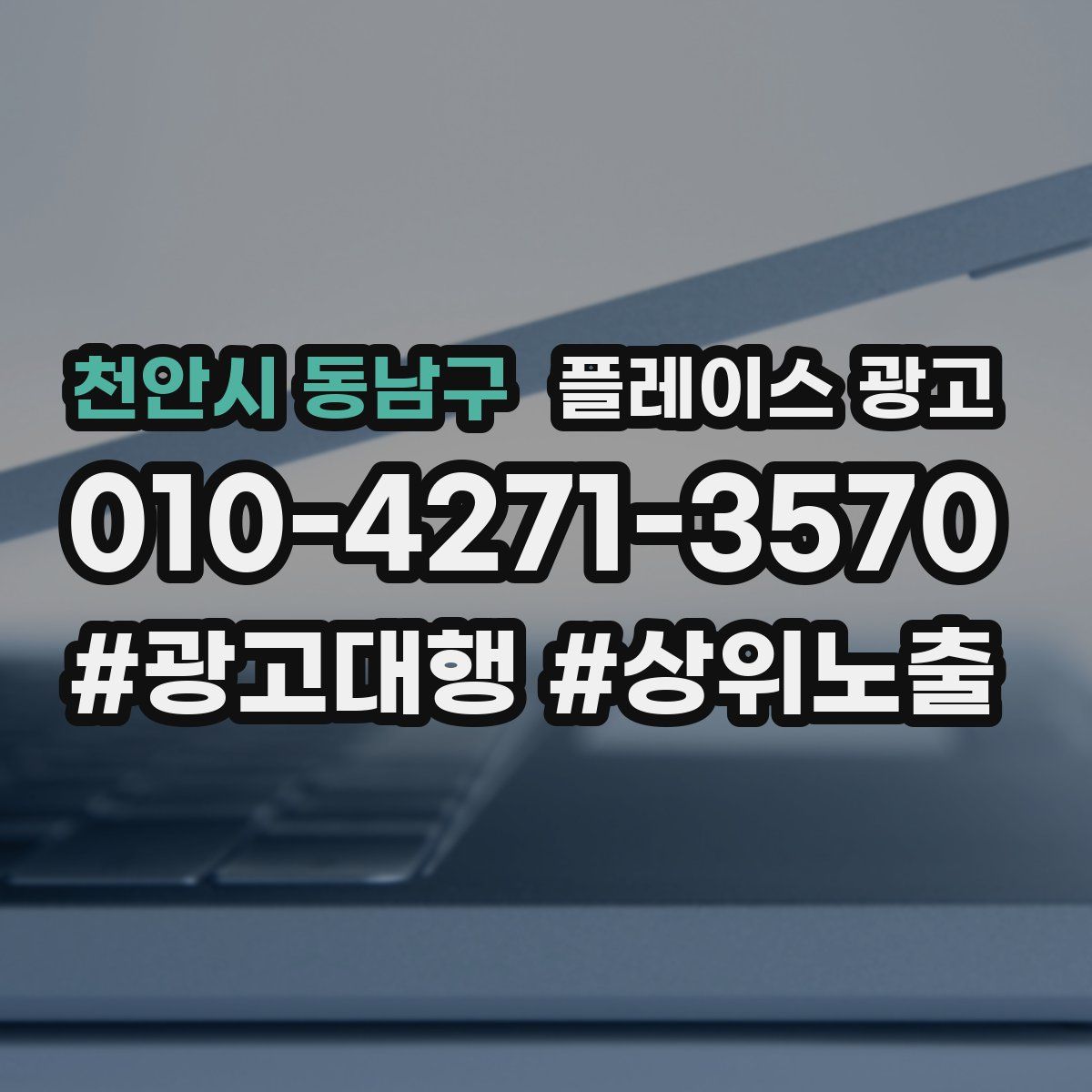 천안시 동남구 플레이스 광고