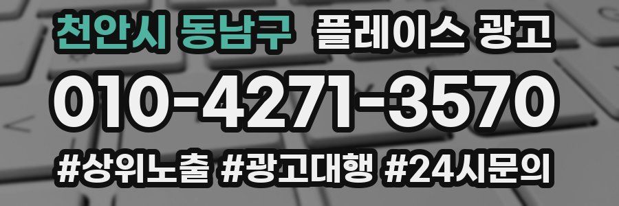 천안시 동남구 플레이스 광고